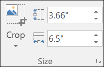 Fix the image to a definite size