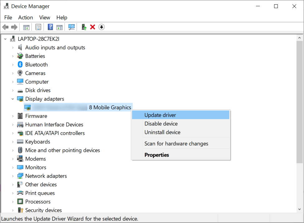 Choose your Graphics Driver’s setup
