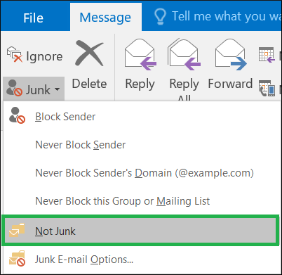 Open the message in the Junk Email folder
