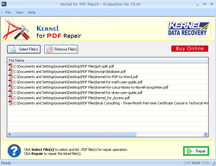 Click on the ‘Repair’ button to start the process of repairing PDF files