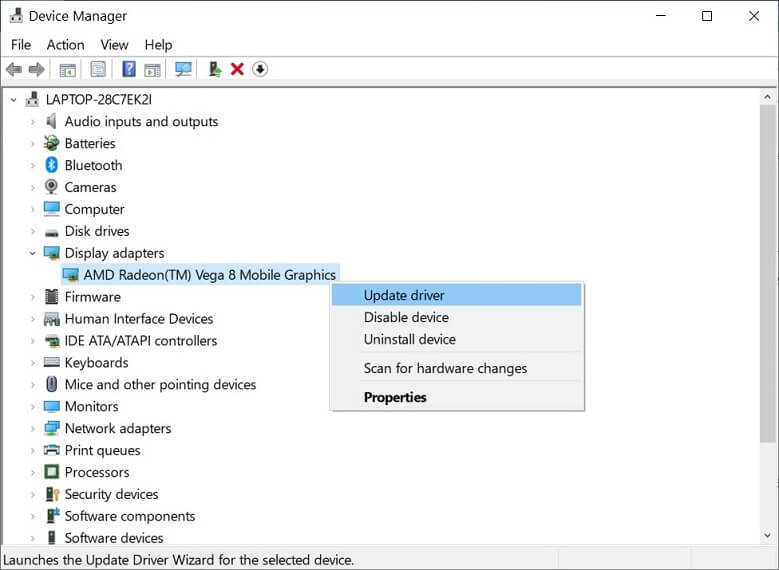 Expand the Display adapter window and choose your graphic card