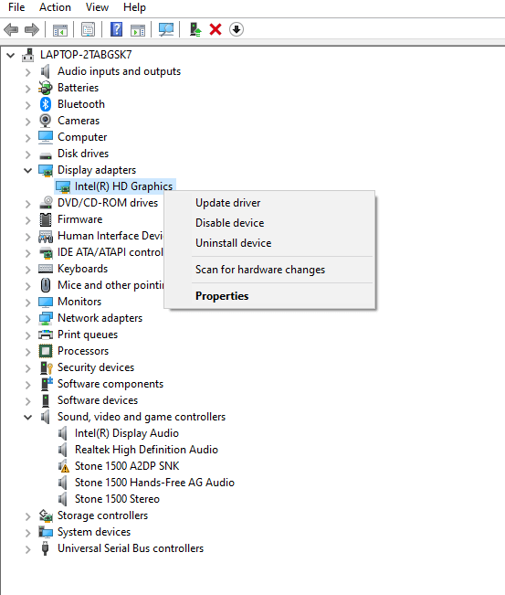 Opening the Device Manager go with the Display adapters