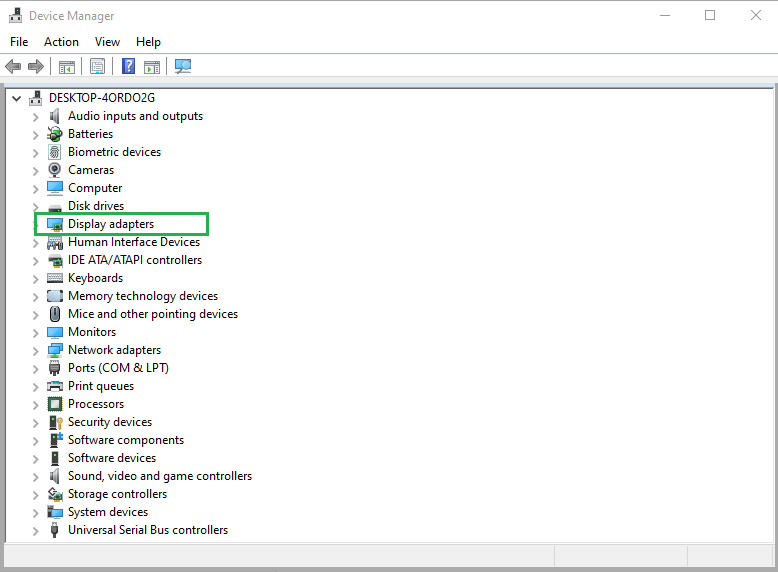 From the Device Manager option, double-click on the Display adaptor