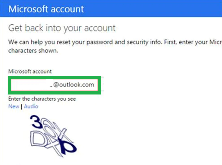 Write your account address below the Microsoft Account