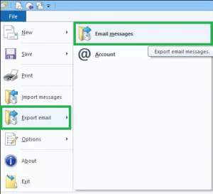 Go to the File menu, choose the Export email option from the list and then select Email messages.