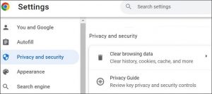 Go to setting and select Privacy and Security. Then, select Clear Browsing data.