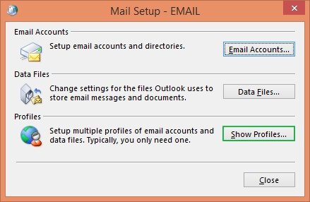 Click on Show Profiles options under Profiles