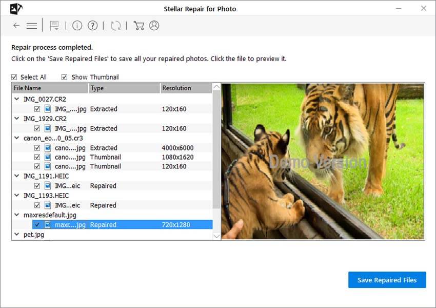 save repaired file